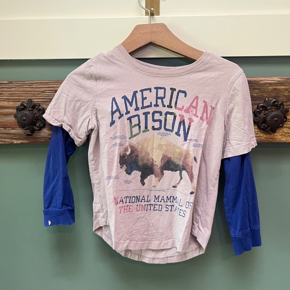 Peek Kids American Bison Graphic Layered Long Sleeve Tee Mauve Blue XS 4/5